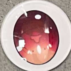 B1