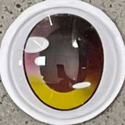 B6